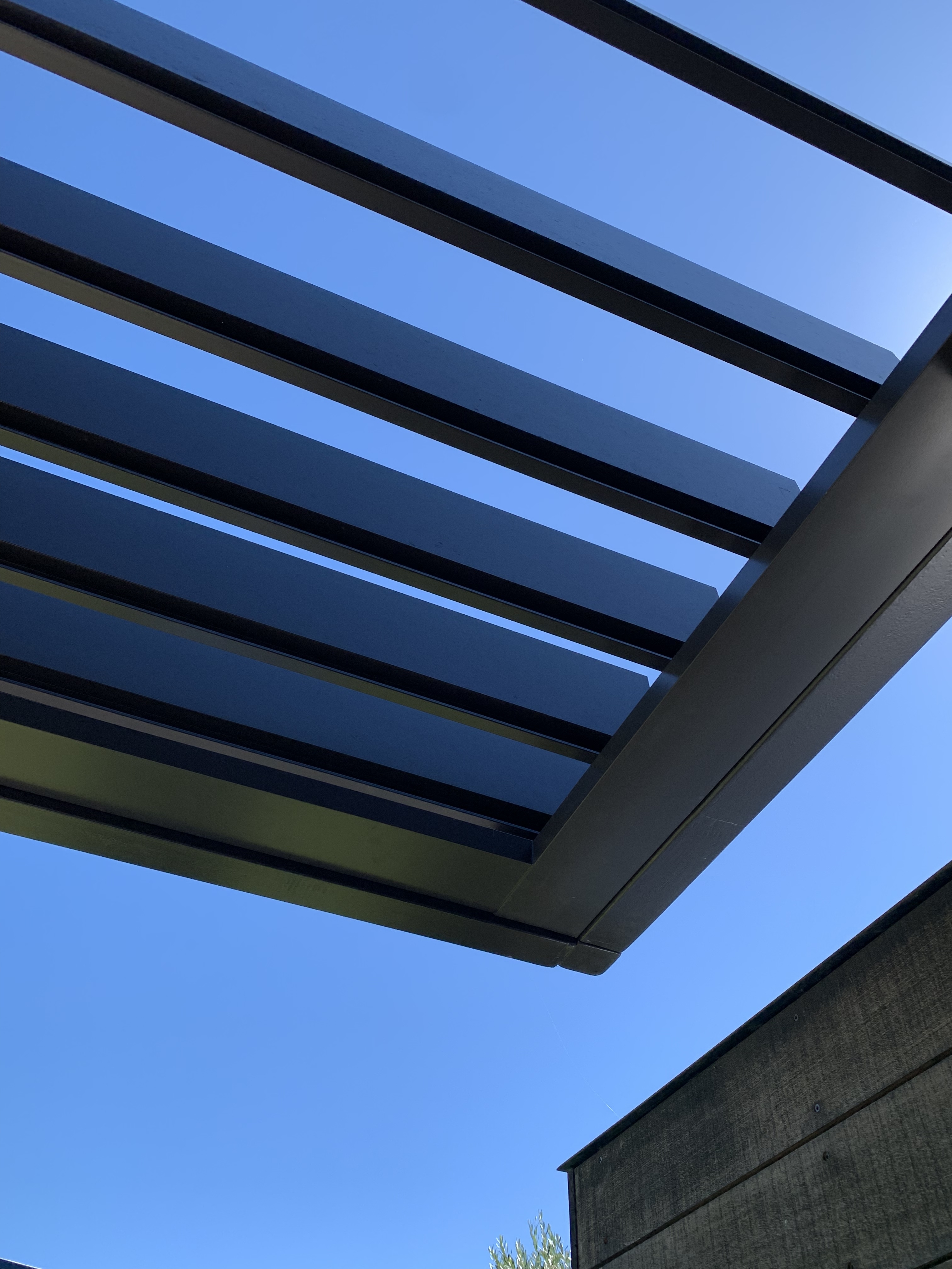 Vineyard Project Left Portrait